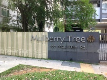Mulberry Tree #27782